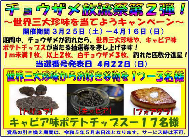 フィッシング
